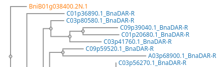 Screenshot of the Orthoviewer form (not)